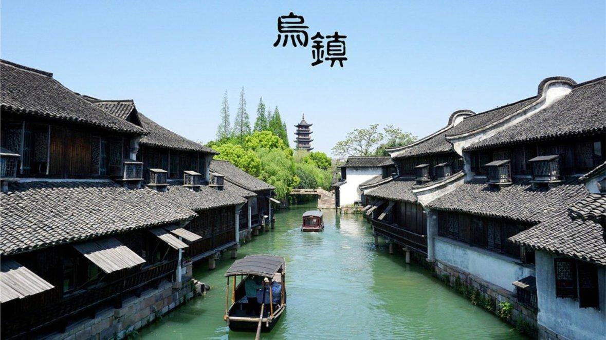 用手喂鹦鹉时它突然从你手中飞走怎么办？游戏画面